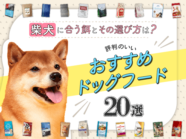 柴犬のおすすめドッグフード記事のサムネイル