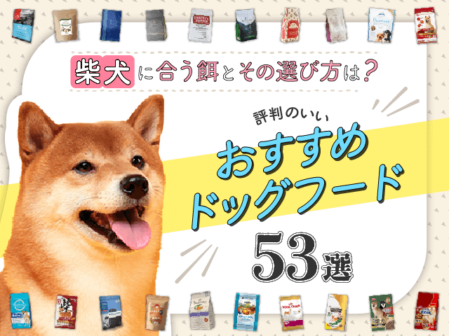 柴犬向けおすすめドッグフードのサムネイル