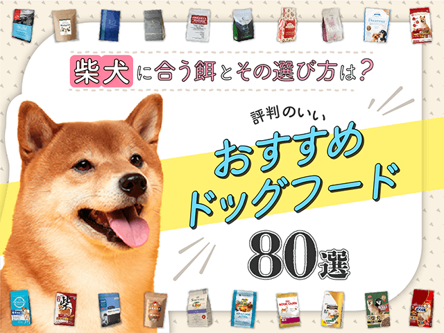 柴犬向けおすすめドッグフードのサムネイル