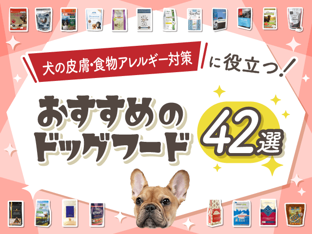 皮膚・食物アレルギーにおすすめのドッグフード記事のサムネイル