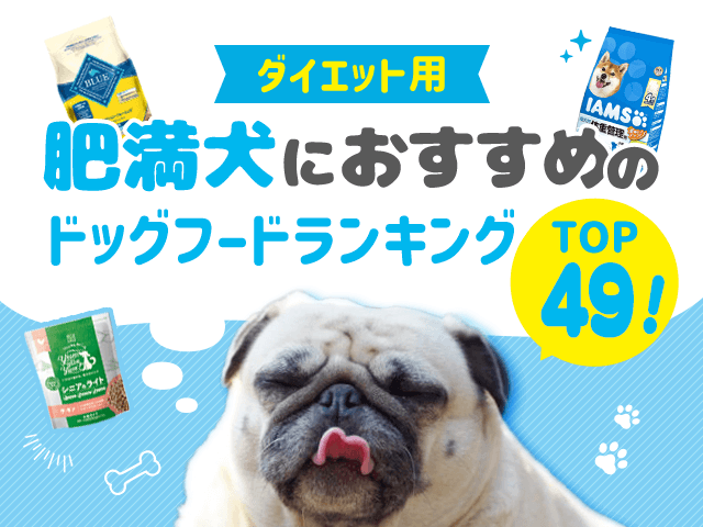ダイエットに良いおすすめドッグフード記事のサムネイル