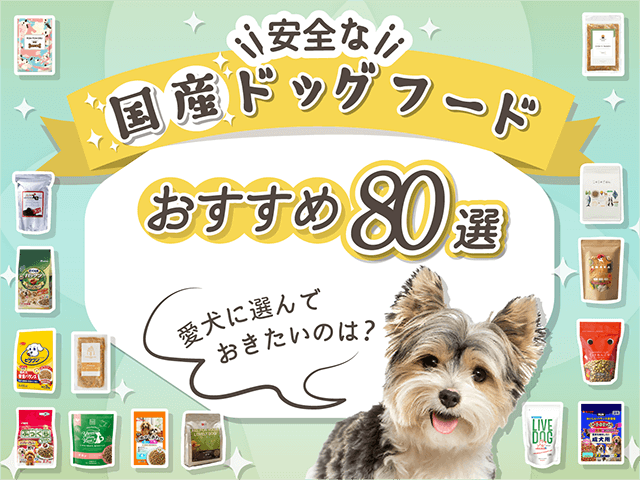 国産ドッグフードのサムネイル