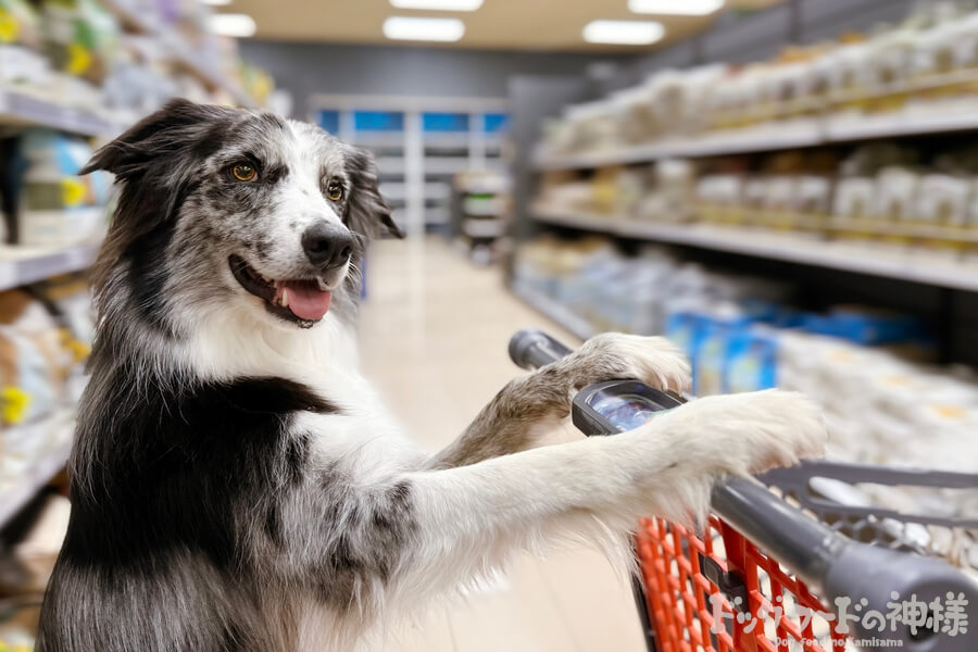 買い物をする犬