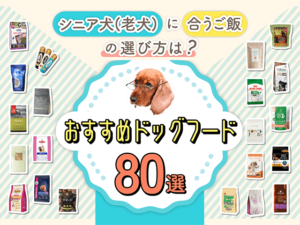 シニア犬におすすめのドッグフード記事のサムネイル
