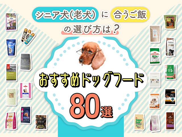 シニア犬におすすめのドッグフード記事のサムネイル