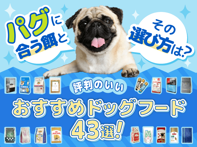 パグにおすすめのドッグフード記事のサムネイル