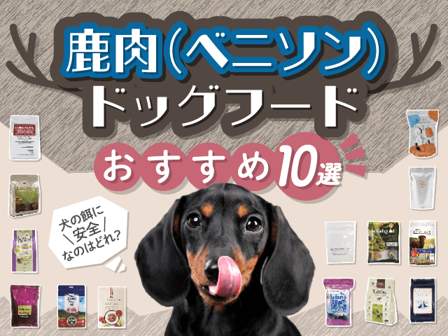 鹿肉（ベニソン）ドッグフードおすすめ11選！犬の餌に安全なのはどれ？