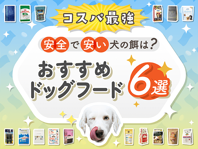 コスパ最強】おすすめドッグフード30選！安全で安い犬の餌は？