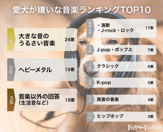 愛犬が嫌いな音楽ランキングTOP10の画像