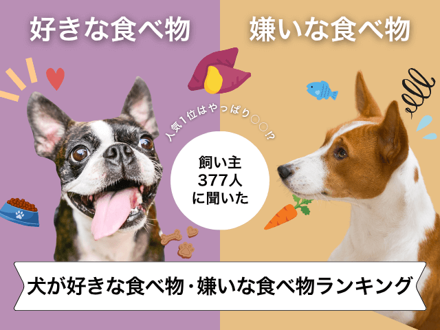 犬の好きな食べ物・嫌いな食べ物のサムネイル
