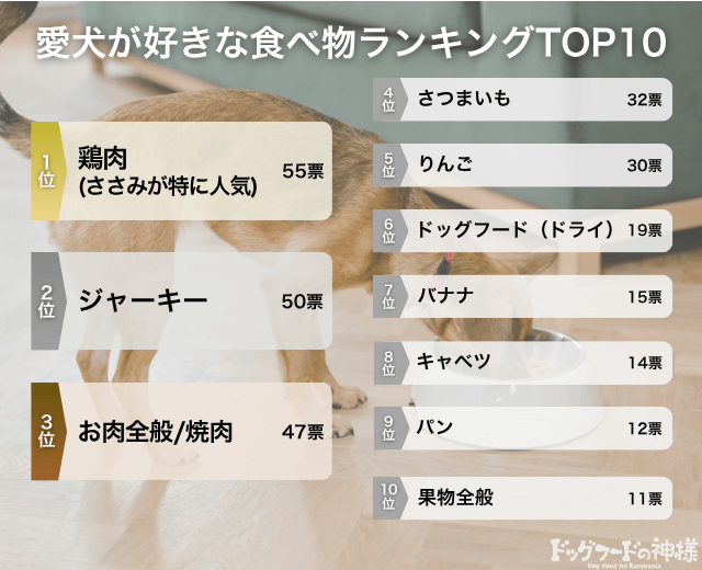 愛犬が好きな食べ物TOP10の画像
