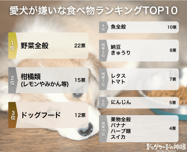 愛犬が嫌いな食べ物ランキングTOP10の画像