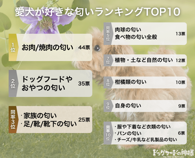愛犬が好きな匂いランキングTOP10の画像