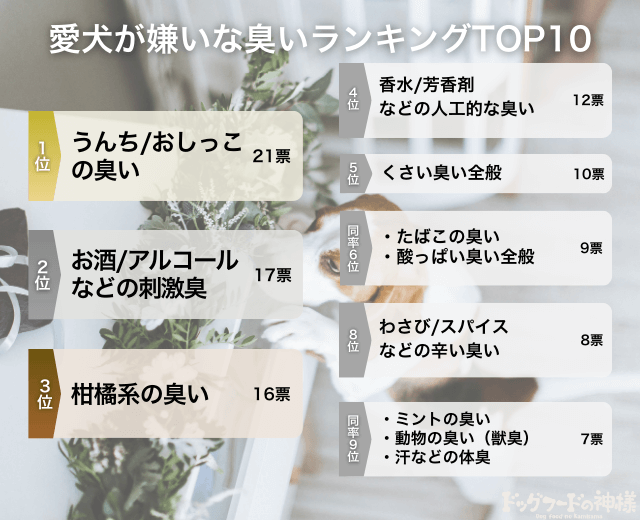 愛犬が嫌いな臭いランキングTOP10の画像