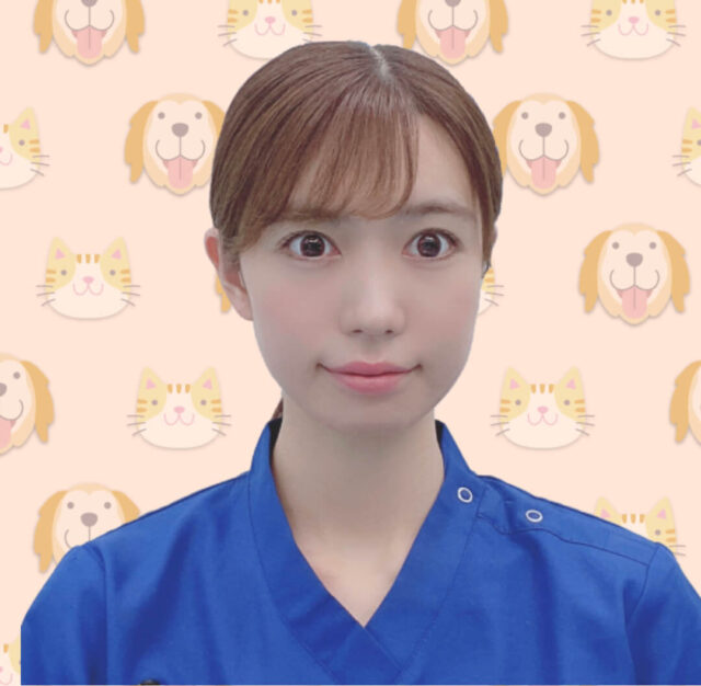 すてっぷ動物病院