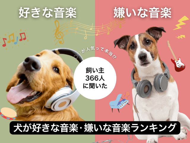 愛犬が好きな音楽・嫌いな音楽のサムネイル