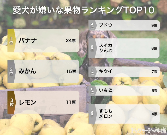 愛犬が嫌いな果物ランキングの画像
