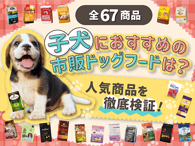 子犬の市販のおすすめドッグフードのサムネイル