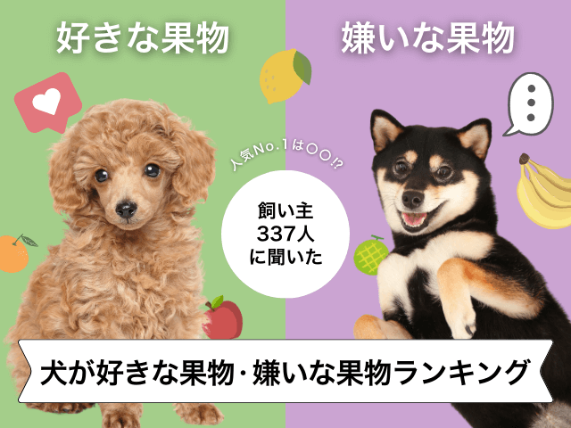 愛犬が好きな果物・嫌いな果物のサムネイル