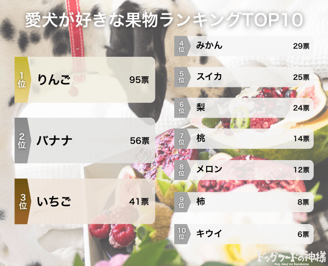 愛犬が好きな果物ランキングの画像