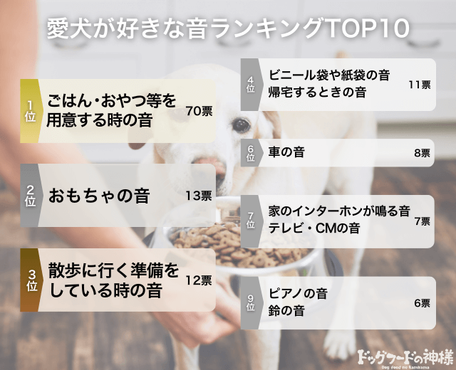愛犬が好きな音ランキングTOP10の画像