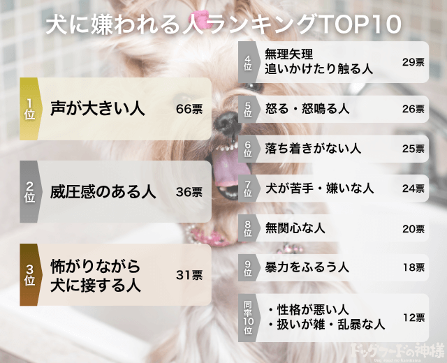 犬に嫌われる人ランキングTOP10の画像