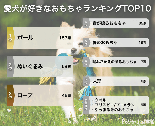 愛犬が好きなおもちゃランキングTOP10の画像
