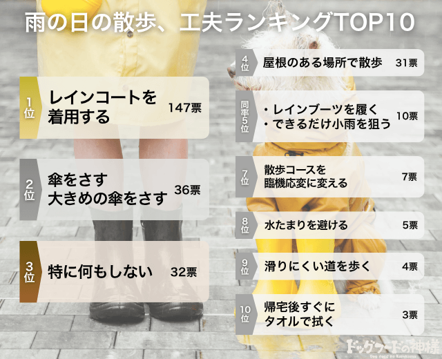 雨の日散歩で工夫していることランキングTOP10の画像