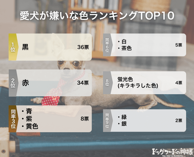 愛犬が嫌いな色ランキングTOP10の画像