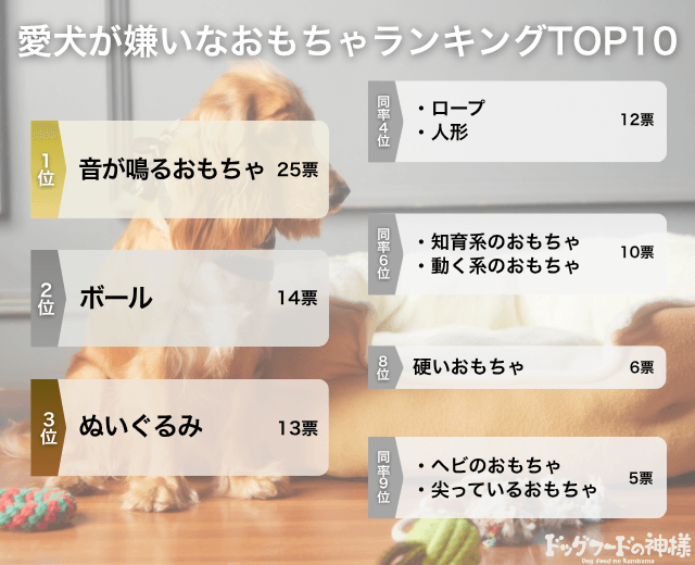 愛犬が嫌いなおもちゃランキングTOP10の画像