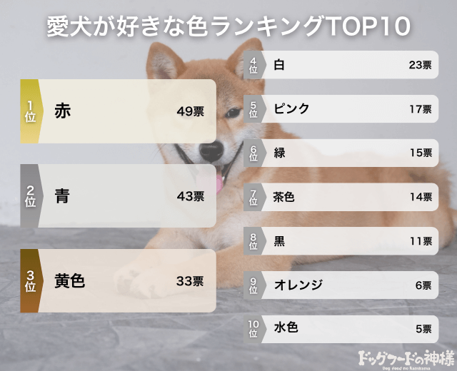 愛犬が好きな色ランキングTOP10の画像