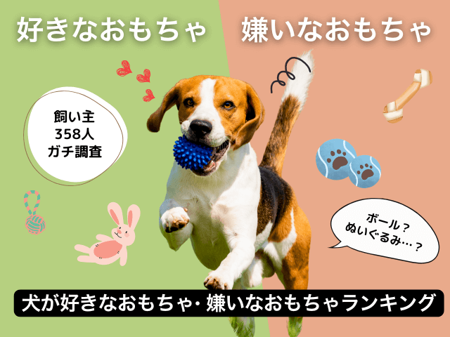 愛犬が好きなおもちゃ・嫌いなおもちゃのサムネイル