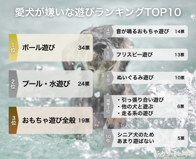 愛犬が嫌いな遊びランキングTOP10