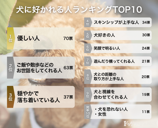 犬に好かれる人ランキングTOP10の画像