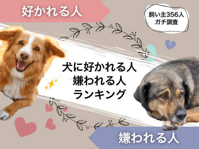 犬に好かれる人・嫌われる人ランキングのサムネイル