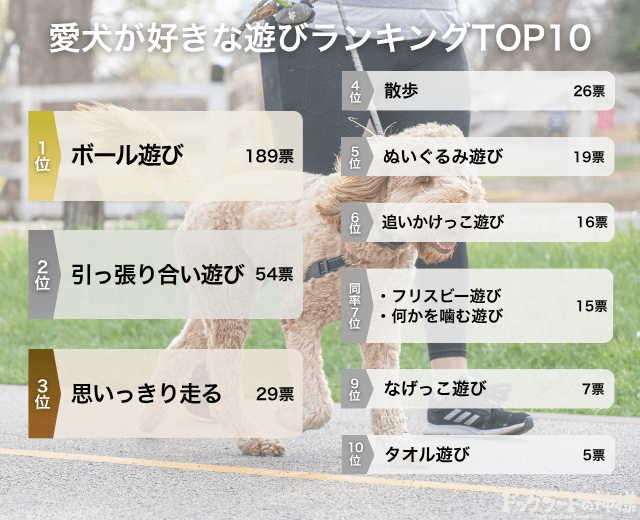 あなたの愛犬が、好きな遊び/嫌いな遊びはありますか？