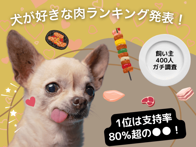 犬の好きなお肉ランキング記事のサムネイル