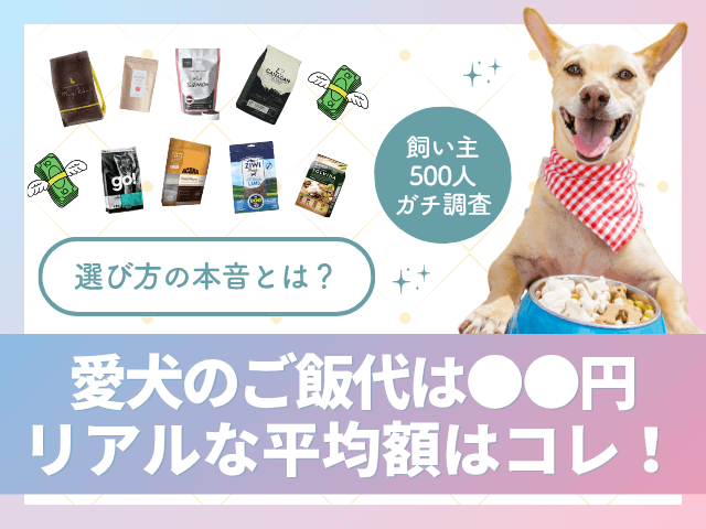 ドッグフードの値段アンケートのサムネイル