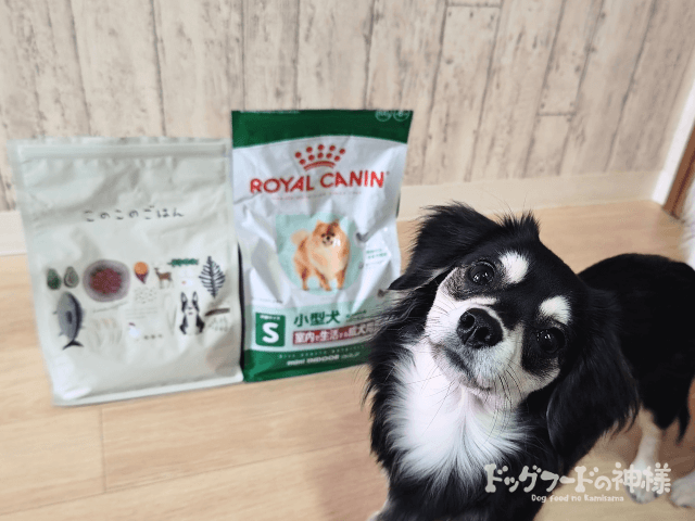 royalcanin-hikaku_15